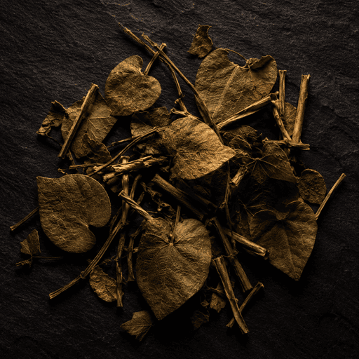 Epimedyum